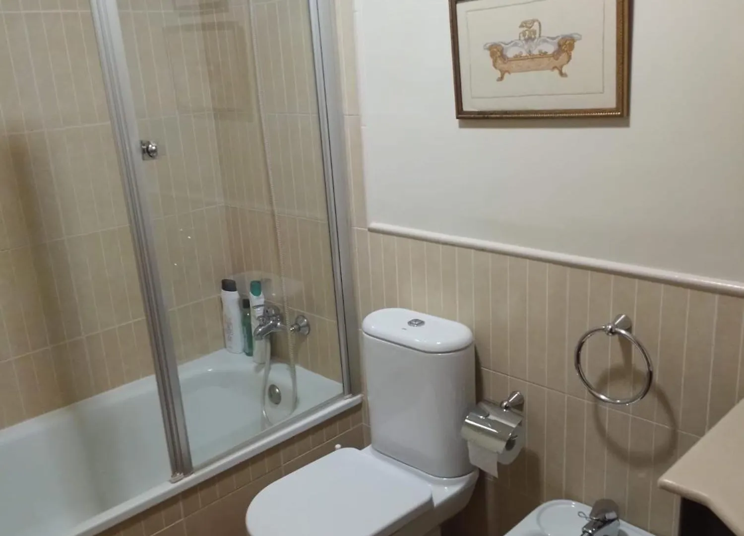 Habitacion Individual O Doble En Triana Seville